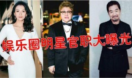 娱乐圈爆料大揭秘,明星幕后真相全曝光